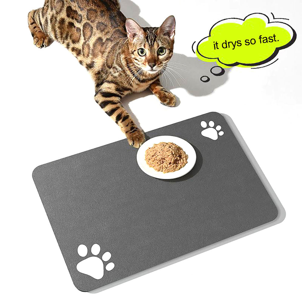 Diatomite pet feeding mat stone absorbent